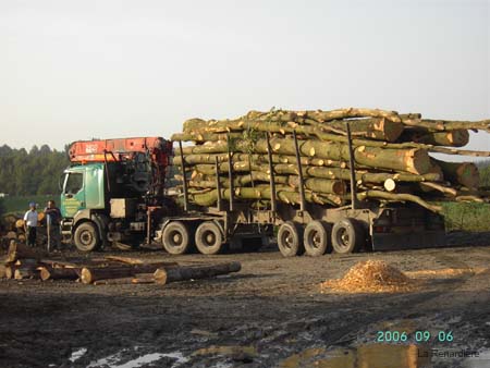 Photo 044